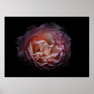 Póster Flores traseras No Versión de color 106