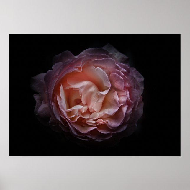 Póster Flores traseras No Versión de color 106 (Frente)