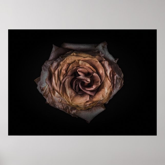 Póster Flores traseras No Versión de color 139 (Frente)