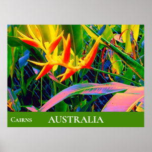 Póster Flores tropicales Heliconia Queensland Australia