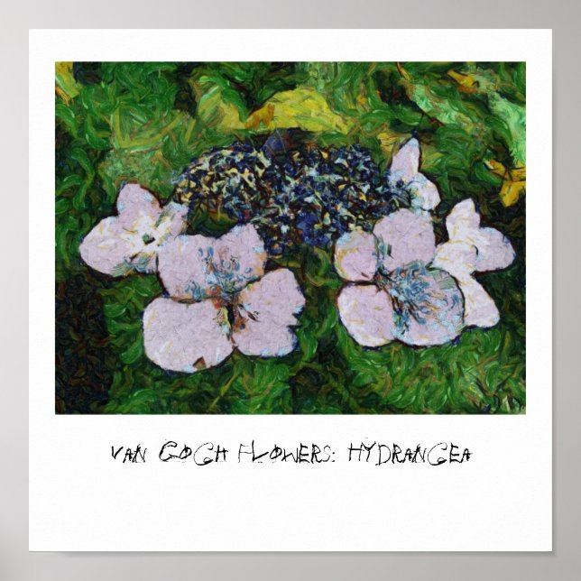 Póster Flores Van Gogh: Hydrangea (Frente)