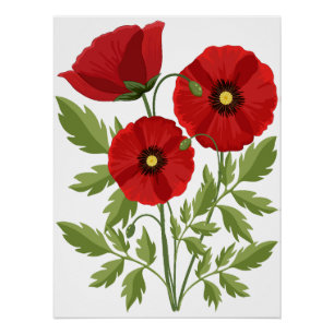 Póster Flores veraniegas alegres con adormidera