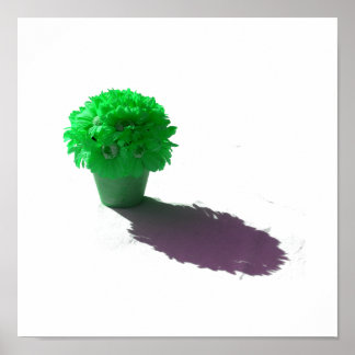 Póster Flores verdes cubo blanco y sombra