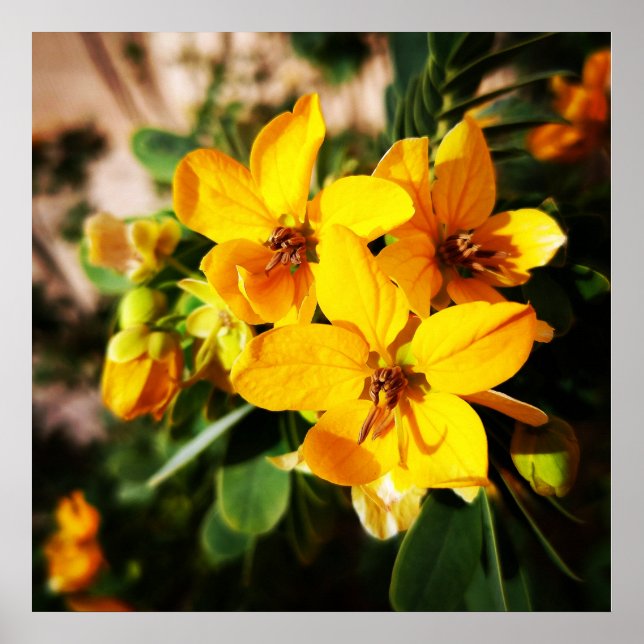 Póster Flores vibrantes (Frente)