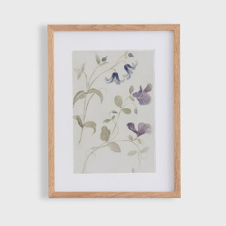 Póster Flores vintage de acuarela