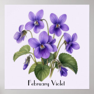 Póster Flores Violetas de Febrero