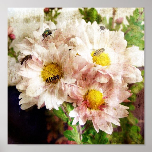 Póster Flores y abejas (Frente)