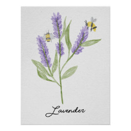 Póster Flores Y Abejas De Lavanda Pintada A Mano
