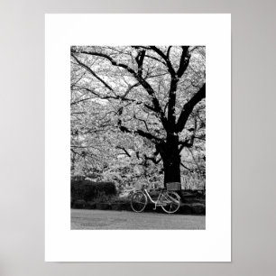Póster Flores y bicicletas: Japón