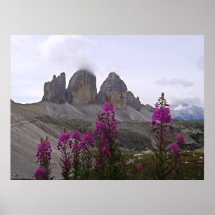 Póster Flores y cal de té