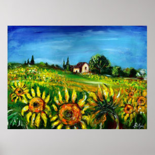 Póster FLORES Y CAMPO EN TOSCANA, colosales