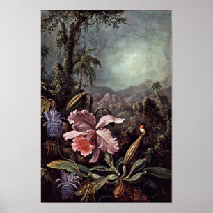 Póster Flores y colibríes de la pasión de las orquídea