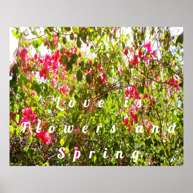 Póster Flores y flores rosadas primaverales hojas ramas (Frente)