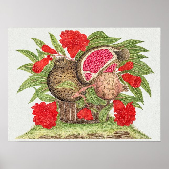 Póster Flores y frutas de granada de cosecha (Frente)