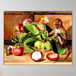 Póster Flores y frutos de Mangostino; Mono de Singapur