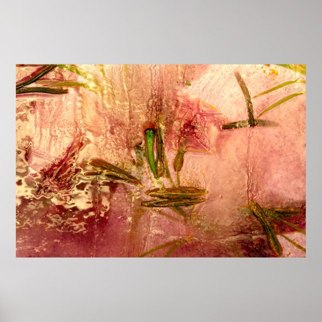 Póster Flores y hojas congeladas. Flores en el cubo de hi (Frente)