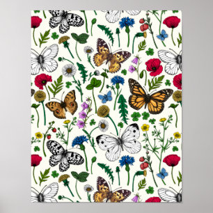 Póster Flores y mariposas silvestres en blanco