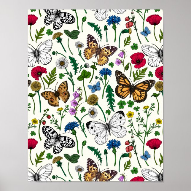 Póster Flores y mariposas silvestres en blanco (Frente)