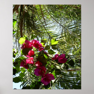 Póster Flores y palmeras