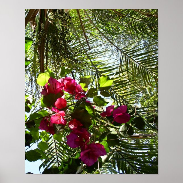 Póster Flores y palmeras (Frente)
