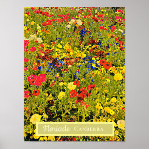 Póster Floriade Canberra Festival de Flores de Florida