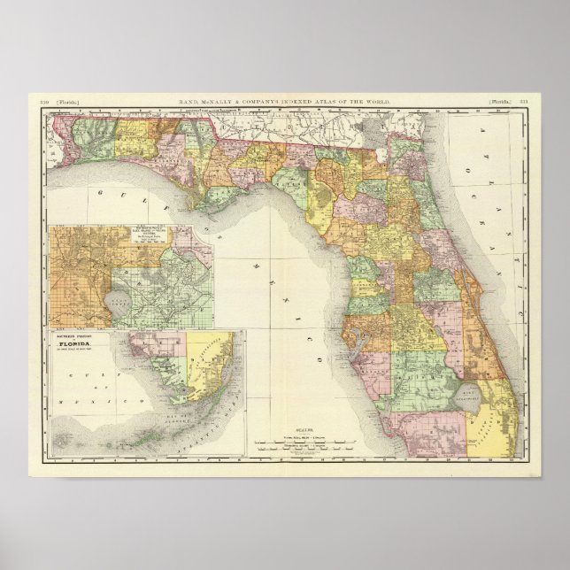 Póster Florida 11 (Frente)