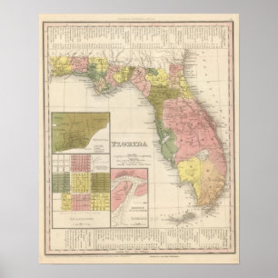 Póster Florida 13