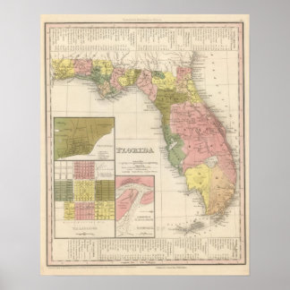 Póster Florida 13
