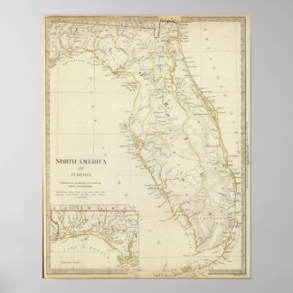 Póster Florida 13