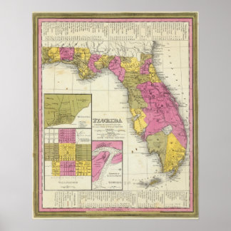 Póster Florida 7