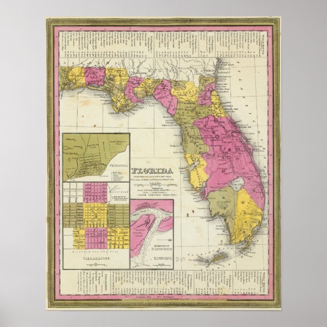 Póster Florida 7 (Frente)