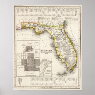 Póster Florida 8