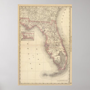 Póster Florida 9