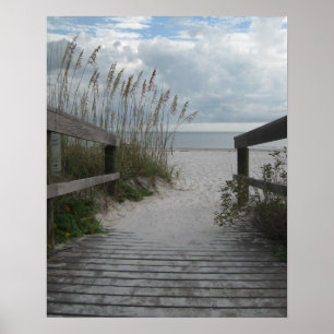 Póster Florida Beach Path