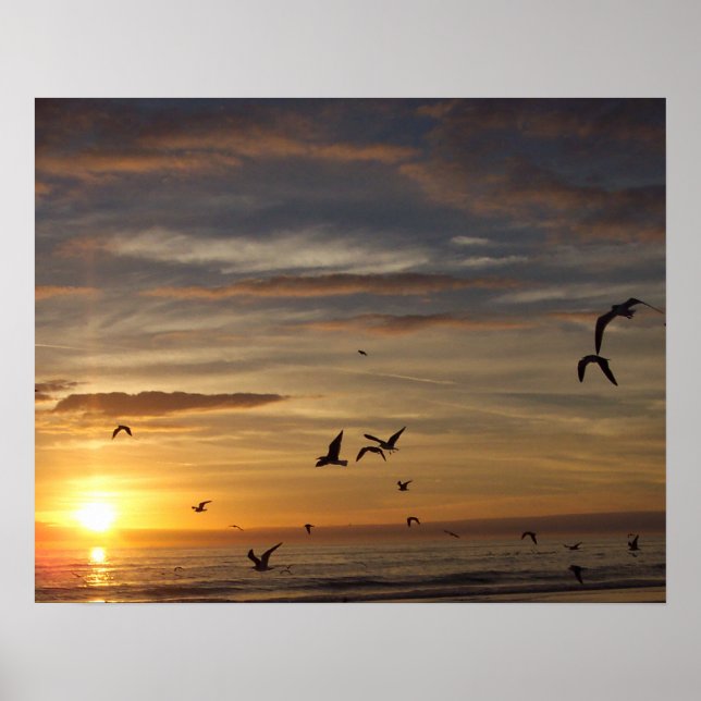 Póster Florida Beach Sunset con Pájaros (Frente)