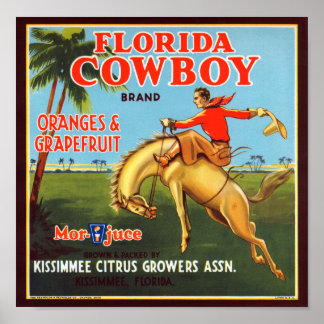 Póster Florida Cowboy