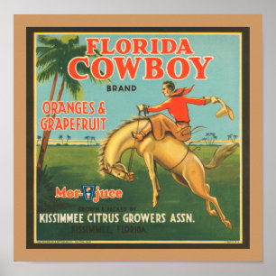 Póster Florida Cowboy