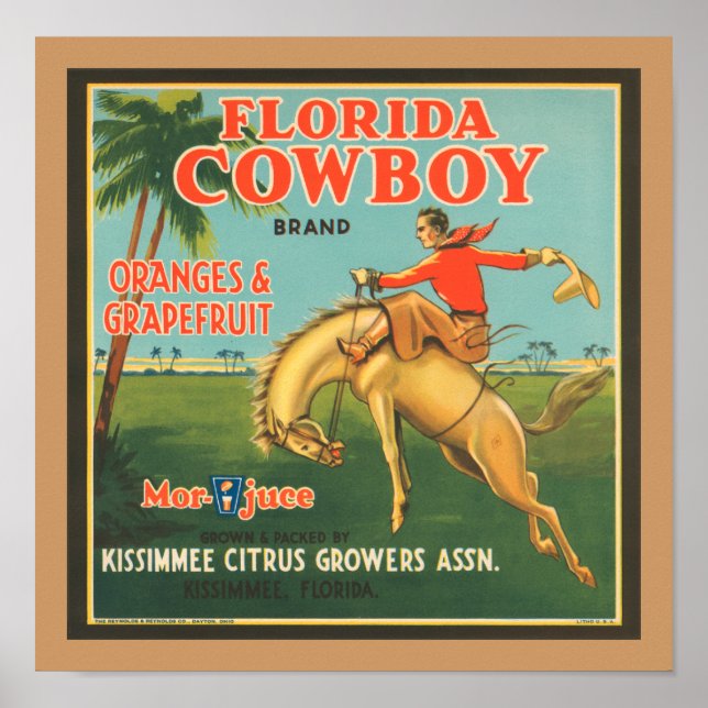 Póster Florida Cowboy (Frente)