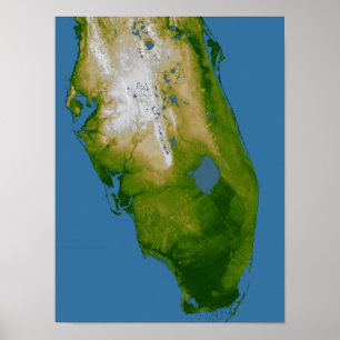 Póster Florida del Sur