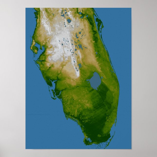 Póster Florida del Sur (Frente)
