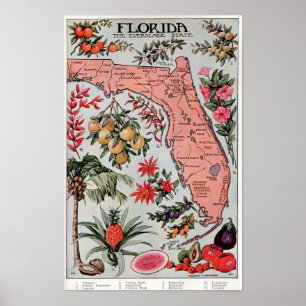 Póster Florida El Estado de los Everglades ,Póster de via