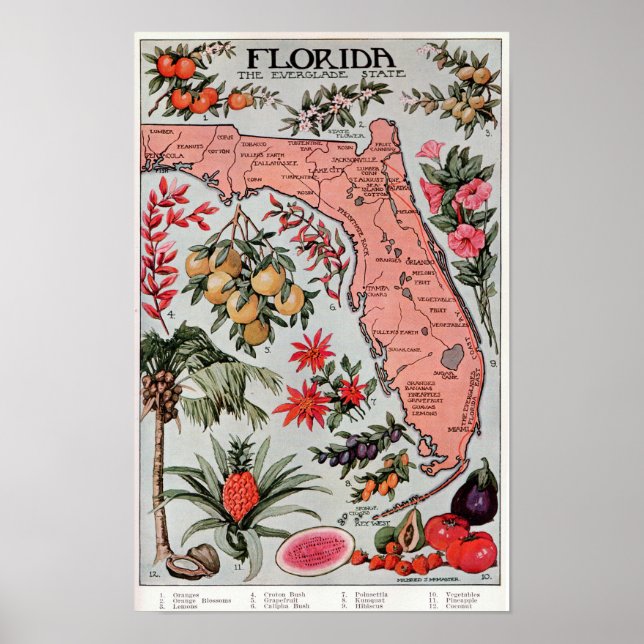 Póster Florida El Estado de los Everglades ,Póster de via (Frente)