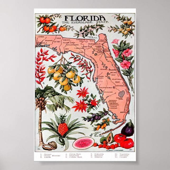 Póster Florida: Mapa del estado del Everglade (Frente)