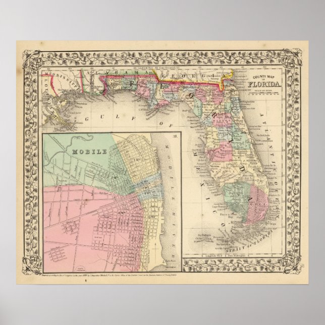 Póster Florida, Mapa móvil de Mitchell (Frente)