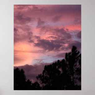 Póster Florida Púrpura y Rosa, atardecer sobre pinos