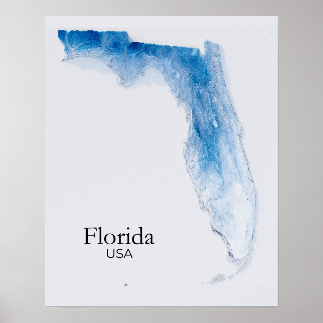 Póster Florida Relief Map Bleu Textura (Frente)