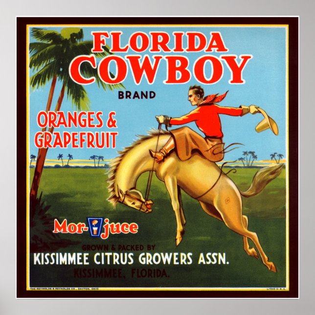 Póster Floriday Cowboy (Frente)