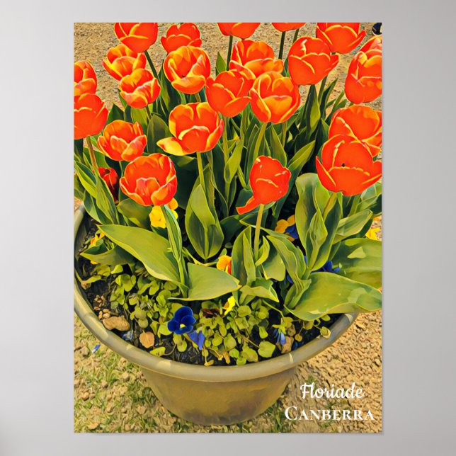 Póster Florige Canberra Festival de Flores (Frente)