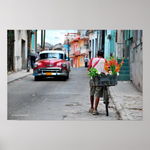 Póster Florismo cubano