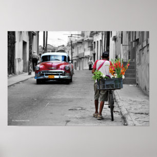 Póster Florismo cubano